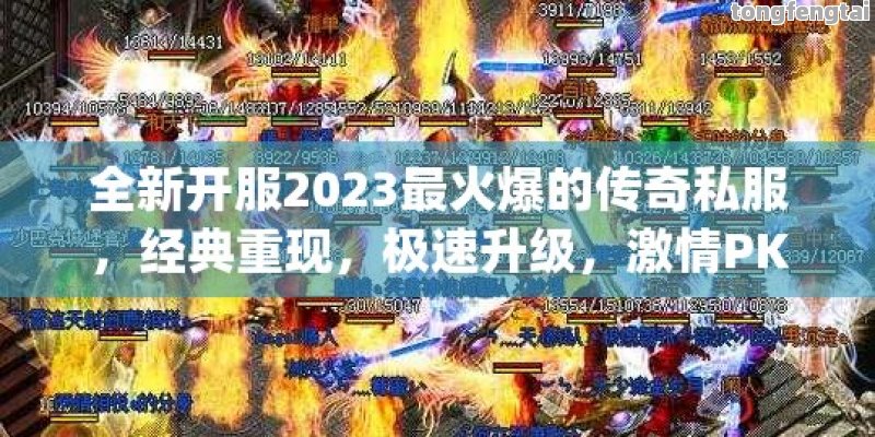 全新开服2023最火爆的传奇私服，经典重现，极速升级，激情PK！